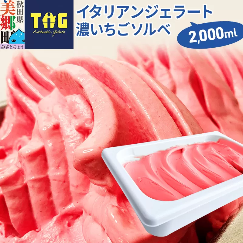 ジェラテリア TiG（ティグ）イタリアンジェラート 無着色・無香料 濃いちごソルベ 2000ml（2L）