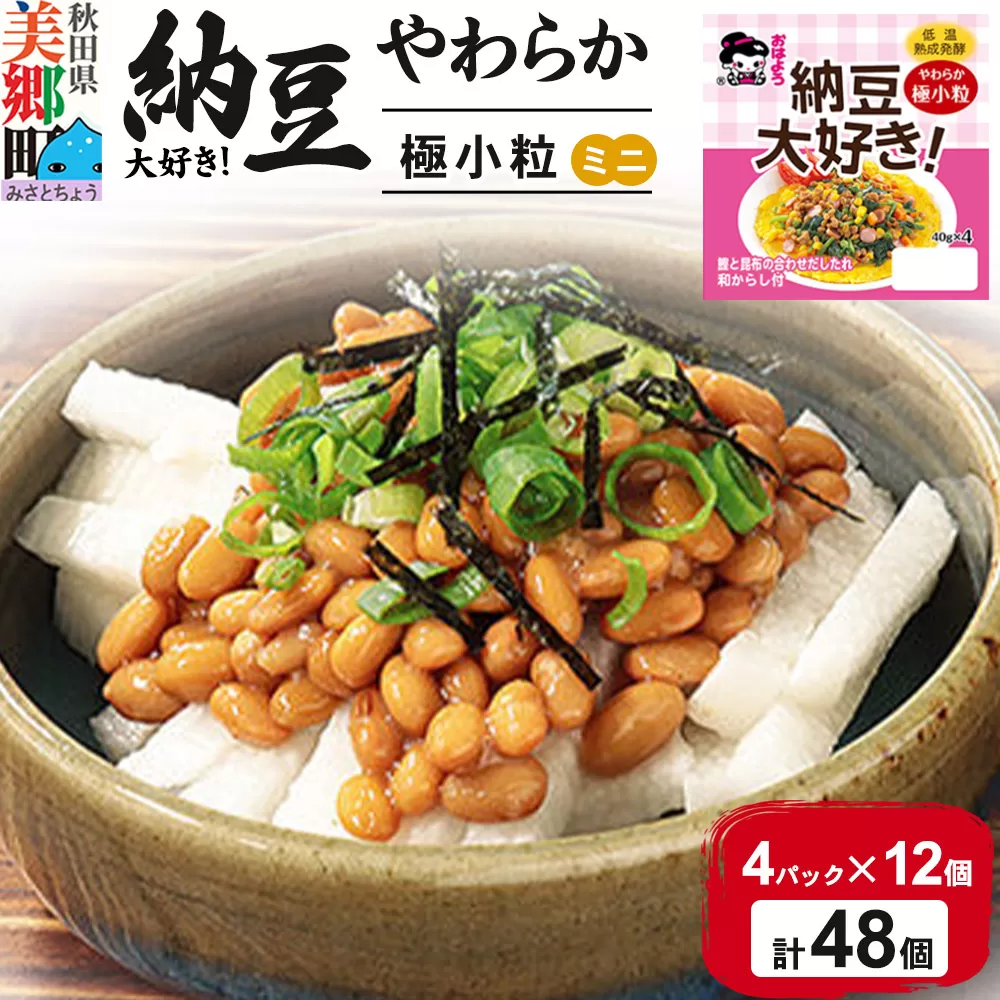 ヤマダフーズ 納豆大好きやわらか 極小粒 ミニ 4パック×12個（計48個）