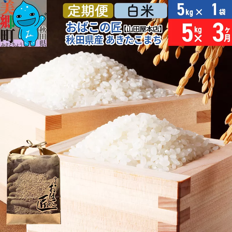 [定期便3ヶ月]令和7年産 おばこの匠 秋田県産あきたこまち 5kg×3回 計15kg(白米)5kg袋 秋田こまち お米 秋田県美郷町