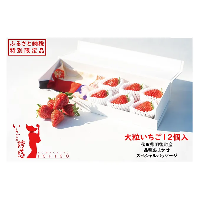 いちごの誘惑 大粒 12個入 特別パッケージ 果物類 苺 大粒いちご 章姫 紅ほっぺ かおり野 厳選 ジューシー 甘い 世界に一つ 