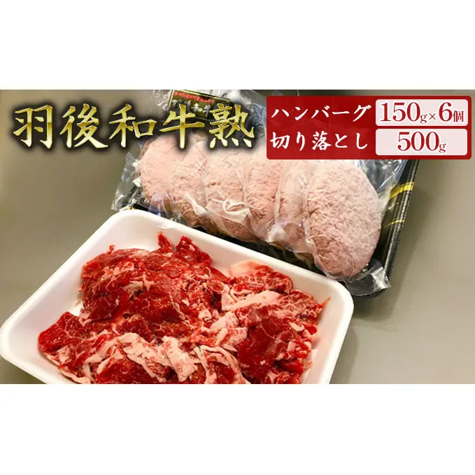 「羽後和牛」の生みの親 「羽後和牛 熟」ハンバーグ150g×6個＋切り落とし500g 手ごね 和牛ハンバーグ 牛肉 