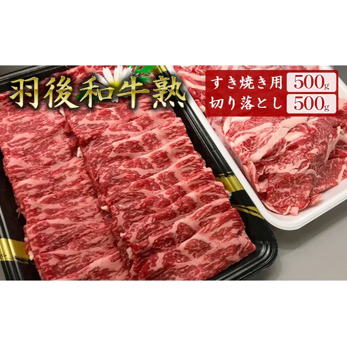「羽後和牛」の生みの親 「羽後和牛 熟」モモすき焼き用500g＋切り落とし500g 計1kg すきやき スキヤキ 