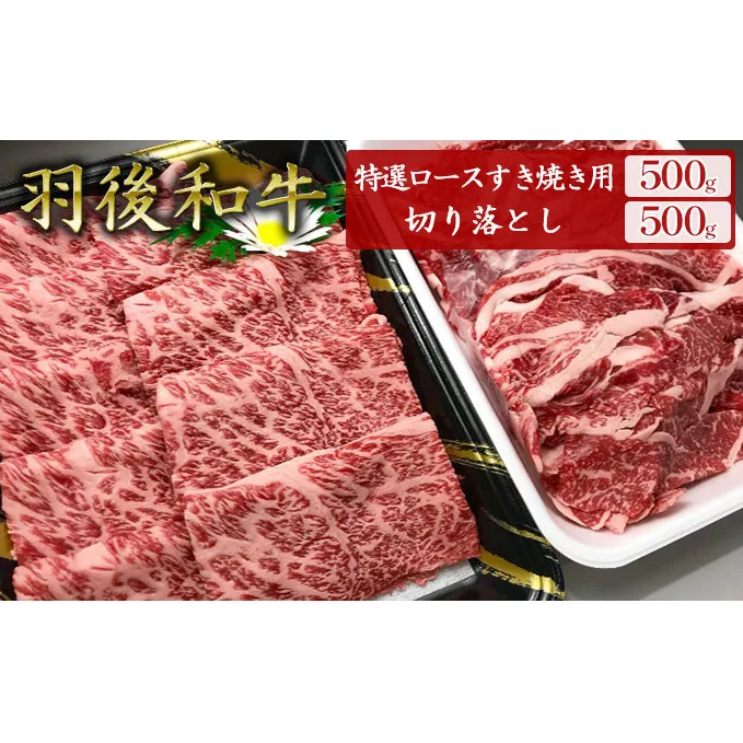 羽後和牛特選ロースすき焼き用500g+羽後和牛切り落とし500g 計1kg すきやき スキヤキ 