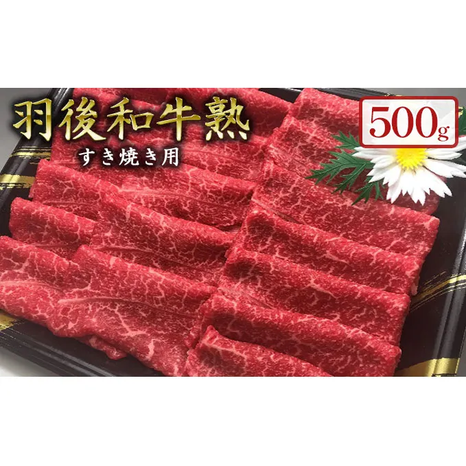 「羽後和牛」の生みの親 「羽後和牛 熟」ウデすき焼き用500g すきやき スキヤキ 