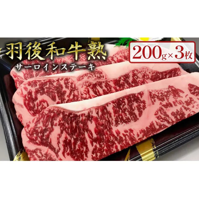 「羽後和牛」の生みの親 「羽後和牛 熟」サーロインステーキ200g×3枚 