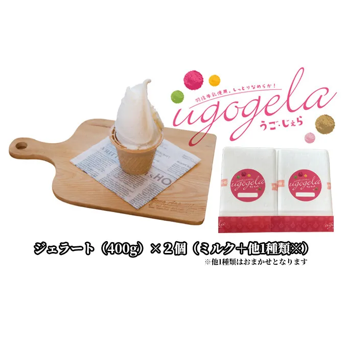 本格ジェラート 羽後町産生乳使用！「うご・じぇら」400g×2個セット（ミルク＋他1種類※おまかせ）〈株式会社おも・しぇ〉 スイーツ 冷たいスイーツ フレッシュミルク 濃厚 後味さっぱり 新鮮 とれたて食材 生産者直送 野菜 完熟果物 