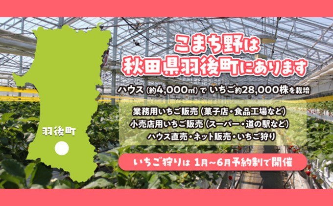 冷凍いちご 5kg（500g×10）国産 イチゴ ジャム スムージー お