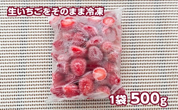 冷凍いちご 5kg（500g×10）国産 イチゴ ジャム スムージー お
