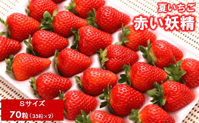 夏いちご 赤い妖精 Sサイズ（35粒×2） 国産 イチゴ 果物