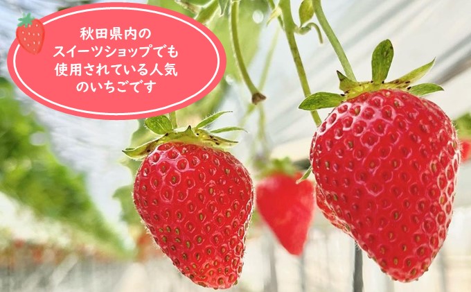 苺さま専用　サイズ確認時まで 夏いちご 赤い妖精 Sサイズ（35粒×2） 国産 イチゴ 果物 フルーツ 果実