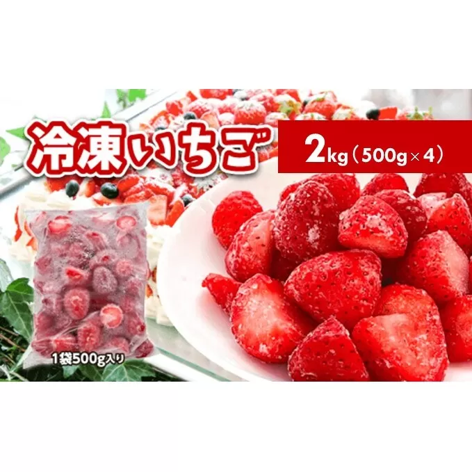 冷凍いちご　2kg（500g×4）国産 イチゴ ジャム スムージー お菓子づくり 果物 フルーツ 冷凍果物 冷凍フルーツ そのまま トッピング フローズンイチゴ ストロベリー 