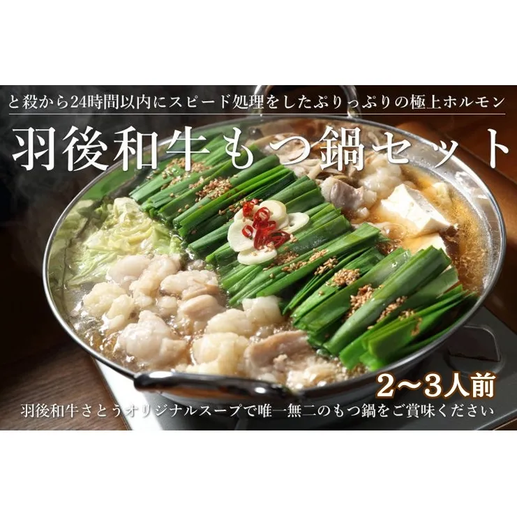 羽後和牛もつ鍋セット2～3人前 しょうゆ味 鍋物 グルメ 新鮮ホルモン 夕飯 集まり イベント 女子会 忘年会 新年会 鍋料理 