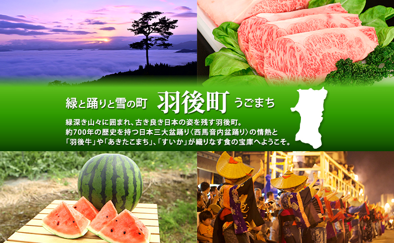 冷凍いちご 5kg（500g×10）国産 イチゴ ジャム スムージー お