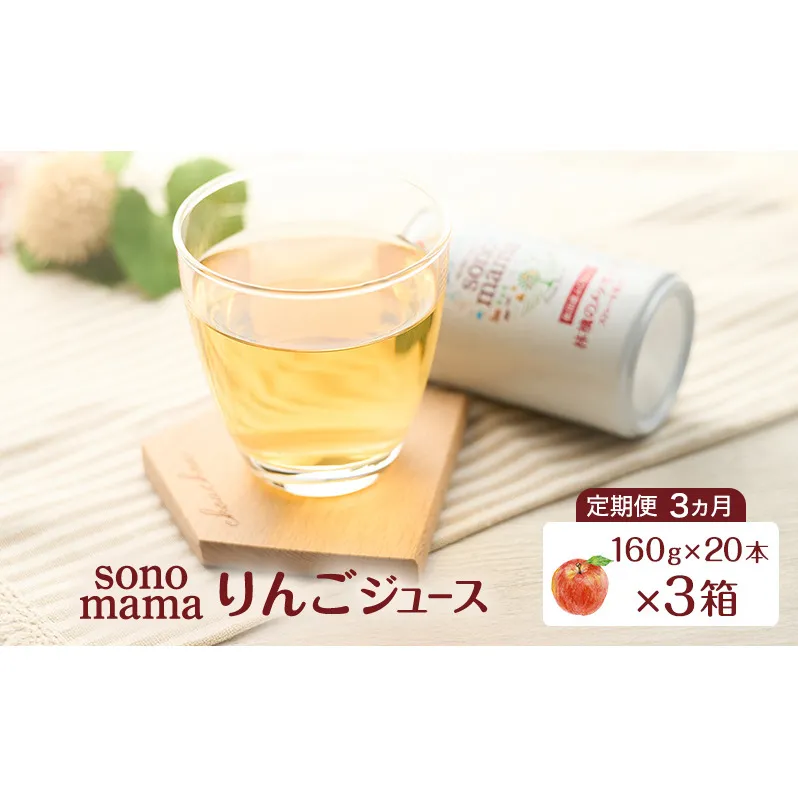 《 定期便 3ヵ月 》 りんごジュース「sonomama」（160g×20本）×3箱 りんご リンゴ ジュース リンゴジュース 飲料