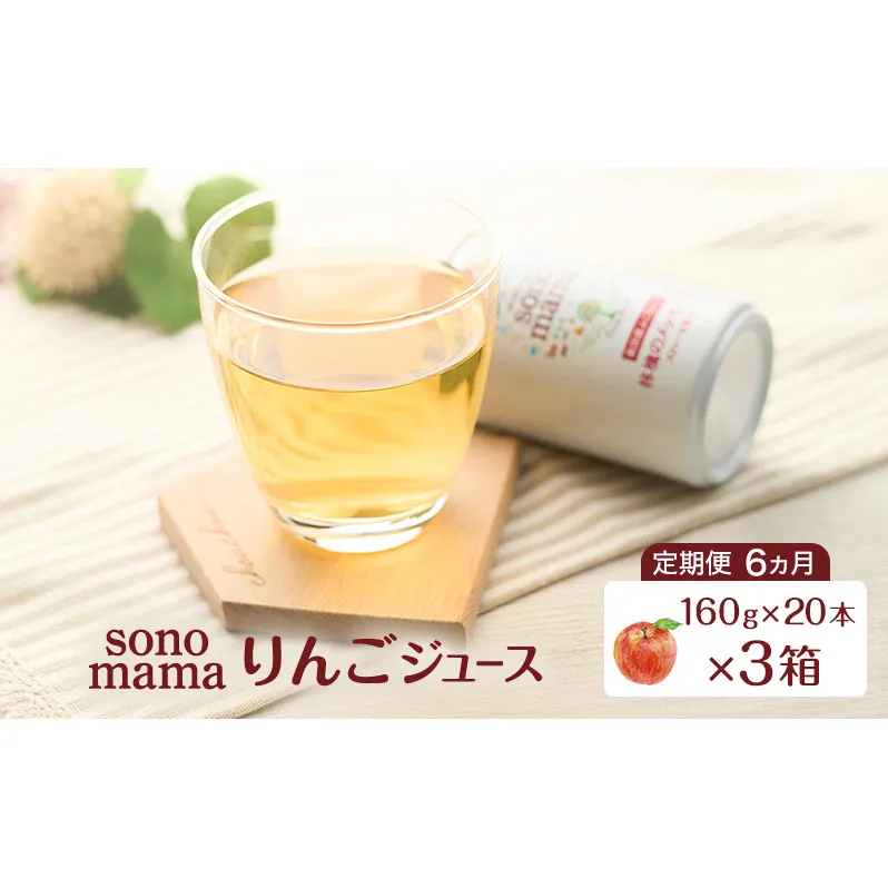 《 定期便 6ヵ月 》 りんごジュース「sonomama」（160g×20本）×3箱 りんご リンゴ ジュース リンゴジュース 飲料