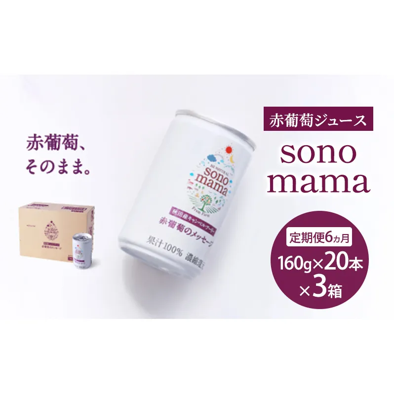 《 定期便 6ヵ月 》 赤葡萄ジュース「sonomama」（160g×20本）×3箱 ぶどう ブドウ ジュース ぶどうジュース 飲料