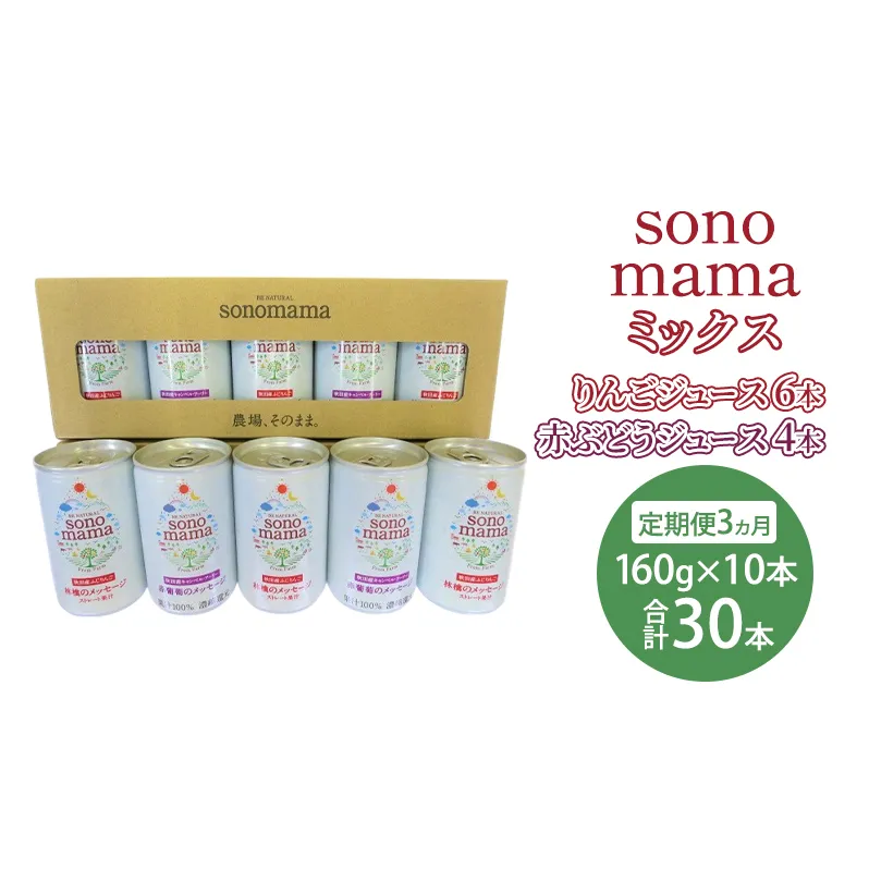 《 定期便 3ヵ月 》ミックス「sonomama」(160g×10本）りんごジュース 赤ぶどうジュース ジュース 飲料