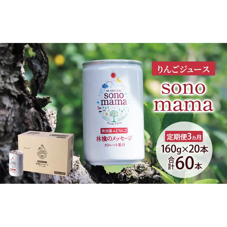 《 定期便 3ヵ月 》りんごジュース「sonomama」（160g×20本）りんご リンゴ ジュース リンゴジュース 飲料