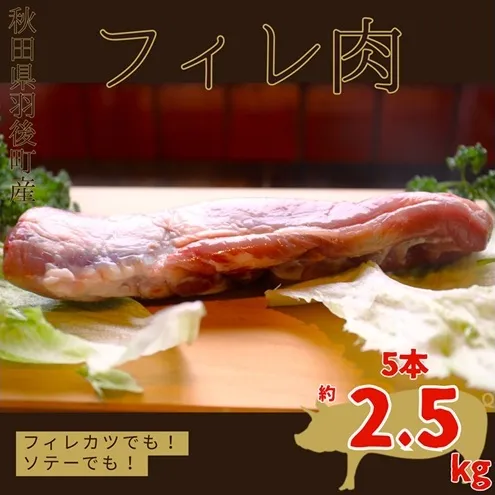 秋田県 羽後町産 豚肉 フィレ肉 5本 2.5kg前後  [ 肉 豚 ポーク BBQ とんかつ 豚カツ ]