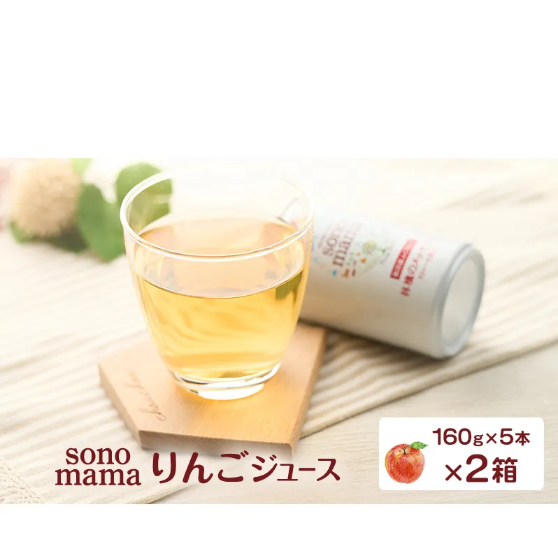 りんごジュース「sonomama」（160g×5本）×2箱 りんご リンゴ ジュース リンゴジュース 飲料