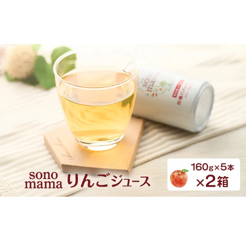 りんごジュース「sonomama」（160g×5本）×2箱 りんご リンゴ ジュース リンゴジュース 飲料