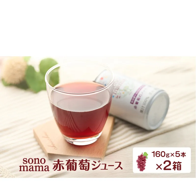 赤葡萄ジュース「sonomama」（160g×5本）×2箱 ぶどう ブドウ ジュース ぶどうジュース 飲料