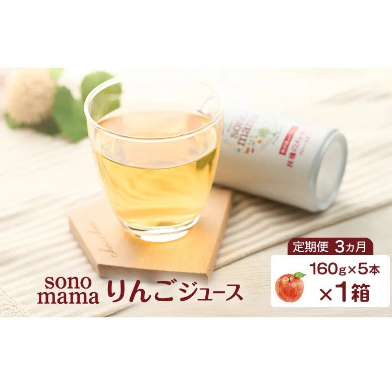 《 定期便 3ヵ月 》 りんごジュース「sonomama」（160g×5本）×1箱 りんご リンゴ ジュース リンゴジュース 飲料
