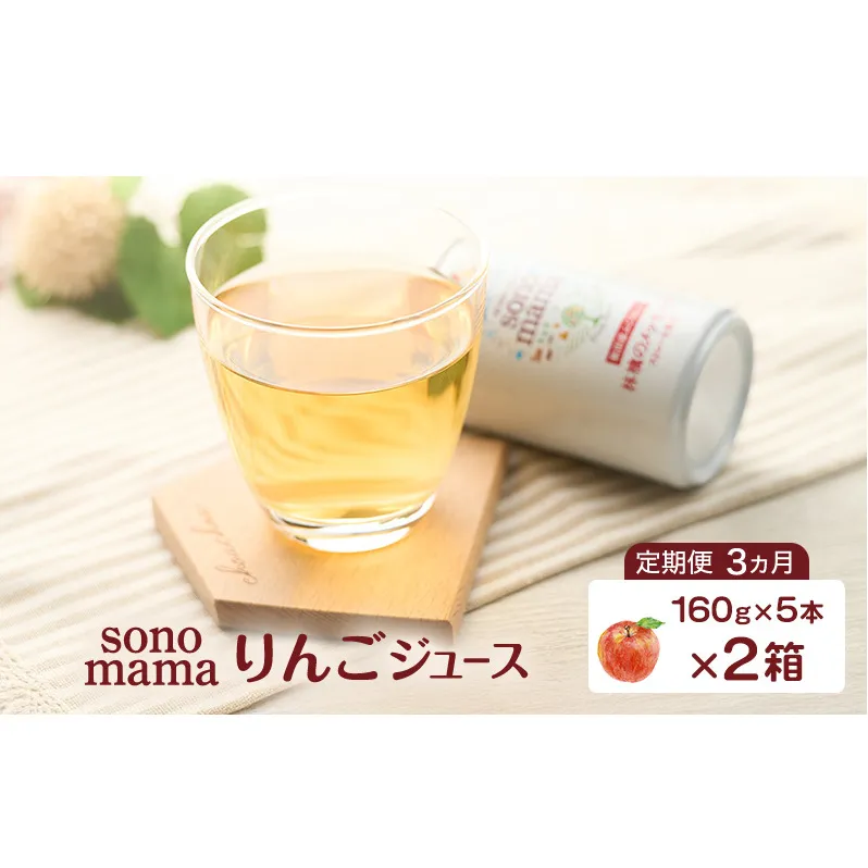 《 定期便 3ヵ月 》 りんごジュース「sonomama」（160g×5本）×2箱 りんご リンゴ ジュース リンゴジュース 飲料