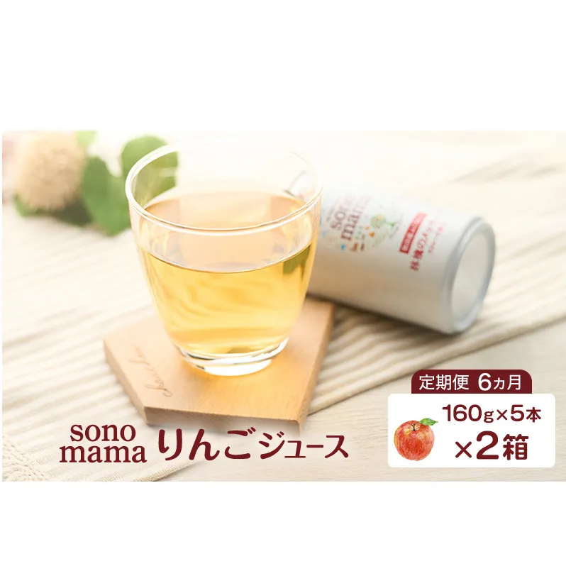 《 定期便 6ヵ月 》 りんごジュース「sonomama」（160g×5本）×2箱 りんご リンゴ ジュース リンゴジュース 飲料