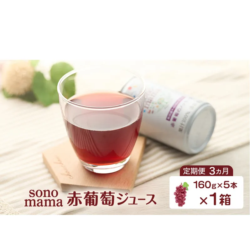 《 定期便 3ヵ月 》 赤葡萄ジュース「sonomama」（160g×5本）×1箱 ぶどう ブドウ ジュース ぶどうジュース 飲料