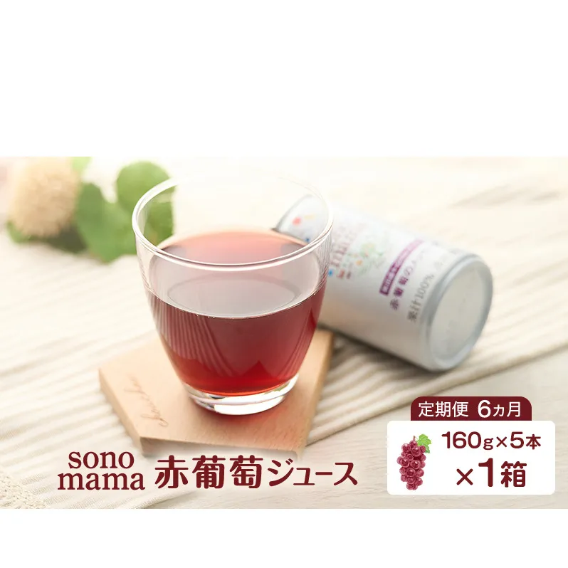 《 定期便 6ヵ月 》 赤葡萄ジュース「sonomama」（160g×5本）×1箱 ぶどう ブドウ ジュース ぶどうジュース 飲料