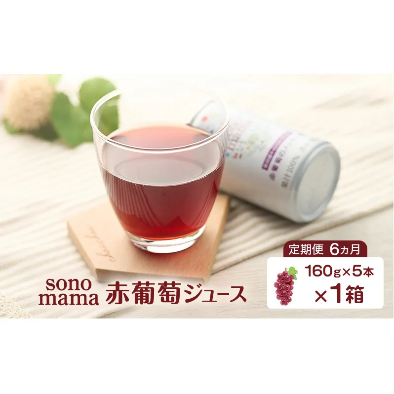 《 定期便 6ヵ月 》 赤葡萄ジュース「sonomama」（160g×5本）×1箱 ぶどう ブドウ ジュース ぶどうジュース 飲料