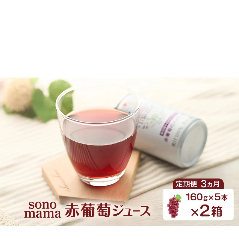 《 定期便 3ヵ月 》 赤葡萄ジュース「sonomama」（160g×5本）×2箱 ぶどう ブドウ ジュース ぶどうジュース 飲料