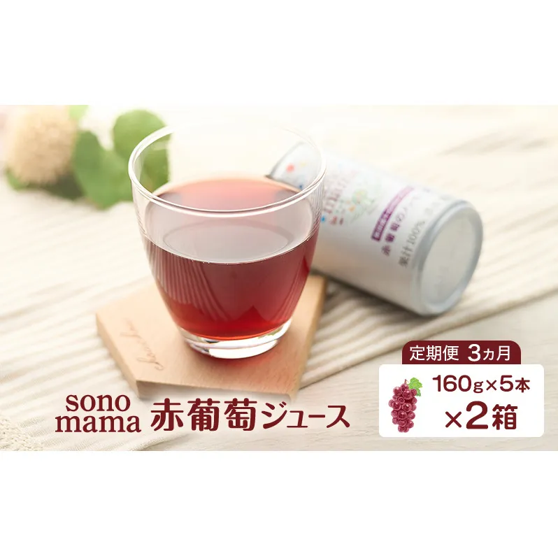 《 定期便 3ヵ月 》 赤葡萄ジュース「sonomama」（160g×5本）×2箱 ぶどう ブドウ ジュース ぶどうジュース 飲料