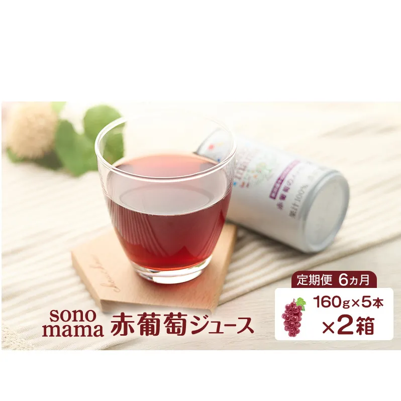 《 定期便 6ヵ月 》 赤葡萄ジュース「sonomama」（160g×5本）×2箱 ぶどう ブドウ ジュース ぶどうジュース 飲料