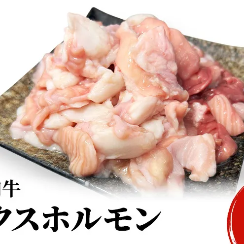 秋田県 羽後町産 羽後和牛 ミックスホルモン 600g （300g×2）【 焼肉 ホルモン BBQ バーベキュー キャンプ 】