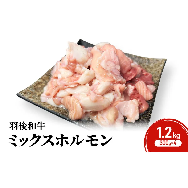 秋田県 羽後町産 羽後和牛 ミックスホルモン 1.2kg (300g×4)【 焼肉 ホルモン BBQ バーベキュー キャンプ 】