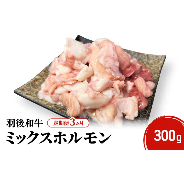 《 定期便 3ヵ月 》 秋田県 羽後町産 羽後和牛 ミックスホルモン 300g 【 焼肉 ホルモン BBQ バーベキュー キャンプ 】