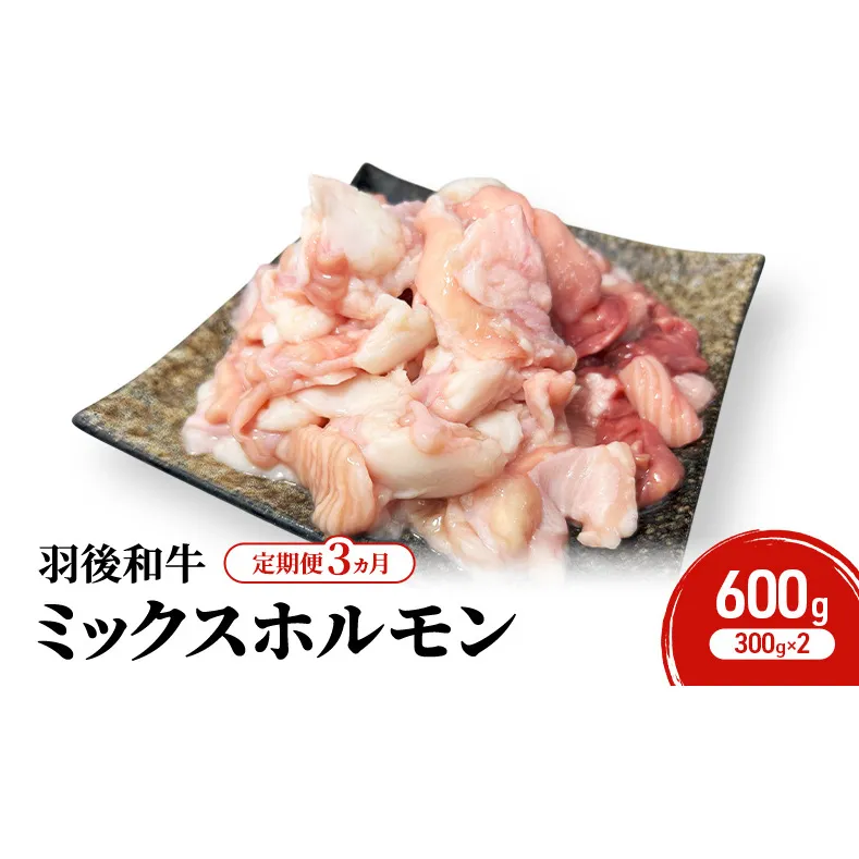 《 定期便 3ヵ月 》 秋田県 羽後町産 羽後和牛 ミックスホルモン 600g (300g×2)【 焼肉 ホルモン BBQ バーベキュー キャンプ 】