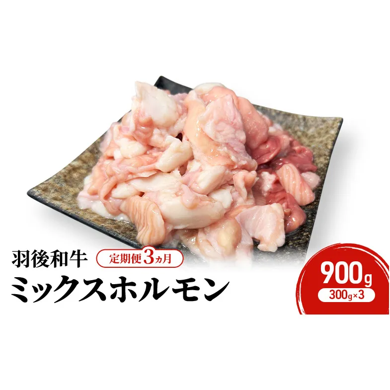 《 定期便 3ヵ月 》 秋田県 羽後町産 羽後和牛 ミックスホルモン 900g (300g×3)【 焼肉 ホルモン BBQ バーベキュー キャンプ 】