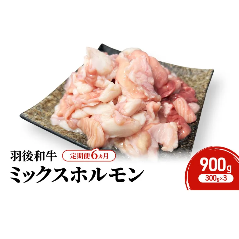 《 定期便 6ヵ月 》 秋田県 羽後町産 羽後和牛 ミックスホルモン 900g (300g×3)【 焼肉 ホルモン BBQ バーベキュー キャンプ 】