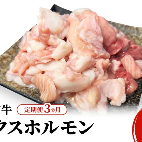 《 定期便 3ヵ月 》 秋田県 羽後町産 羽後和牛 ミックスホルモン 1.2kg （300g×4）【 焼肉 ホルモン BBQ バーベキュー キャンプ 】