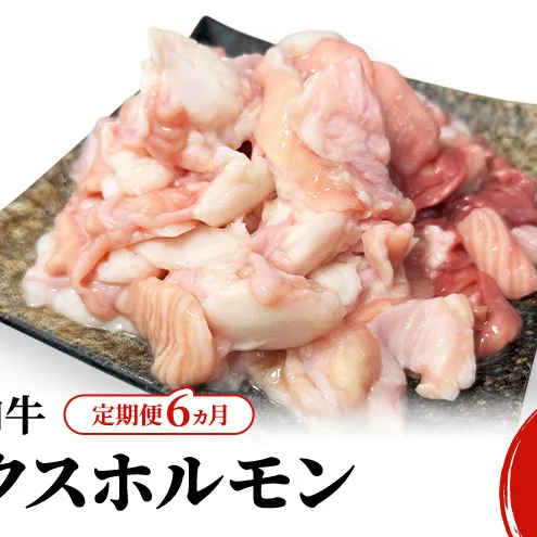 《 定期便 6ヵ月 》 秋田県 羽後町産 羽後和牛 ミックスホルモン 1.2kg （300g×4）【 焼肉 ホルモン BBQ バーベキュー キャンプ 】