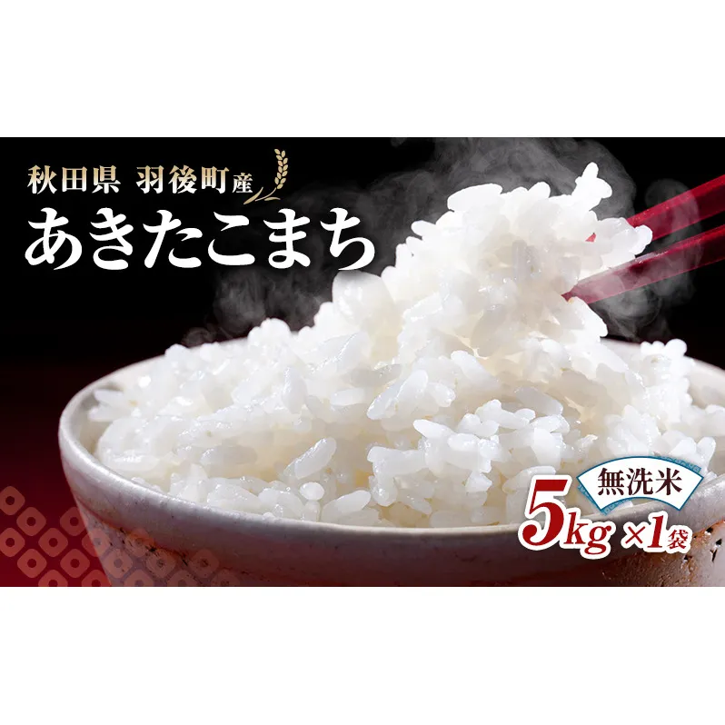 秋田県 羽後町産 あきたこまち 無洗米 5kg×1袋 【 米 お米 白米 精米 アキタコマチ 美味しい 秋田 羽後 】