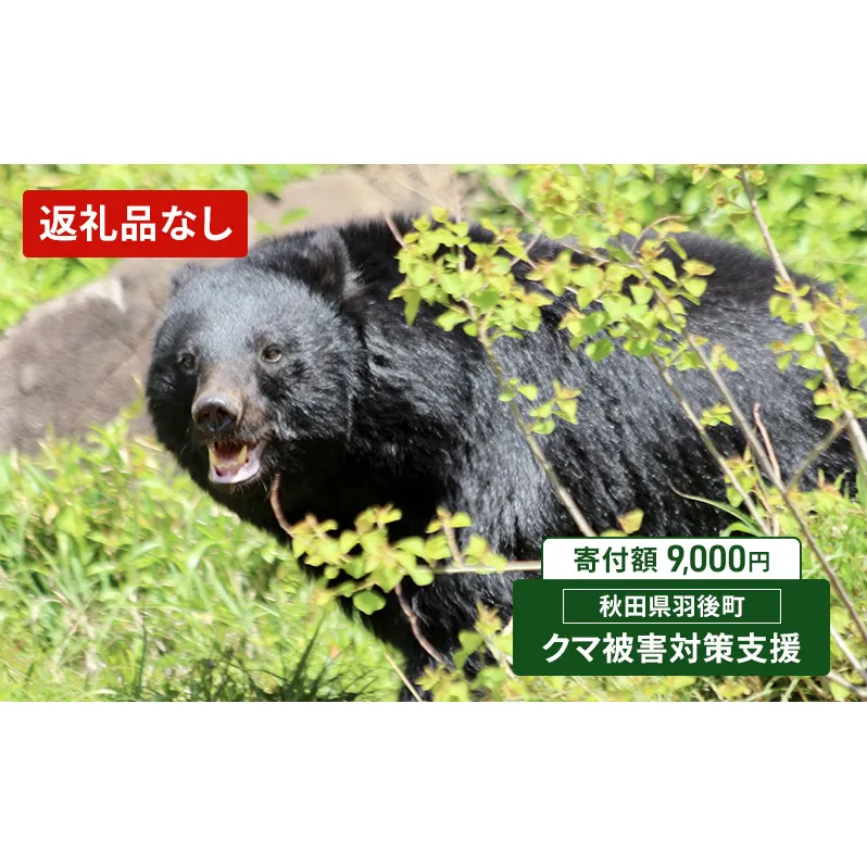 【返礼品なし】クマ被害対策支援（秋田県羽後町）9,000円 応援 支援 寄附のみ【羽後町ふるさと納税】