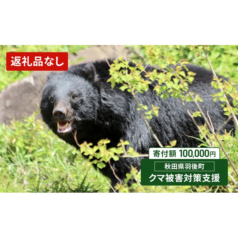 【返礼品なし】クマ被害対策支援（秋田県羽後町）100,000円 応援 支援 寄附のみ【羽後町ふるさと納税】