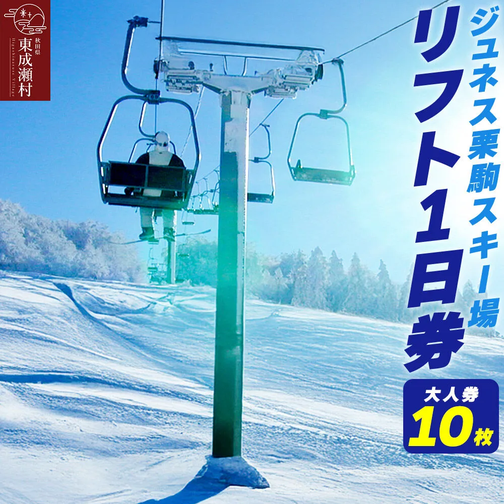 秋田県東成瀬村 ジュネス栗駒スキー場 リフト1日券（大人券10枚