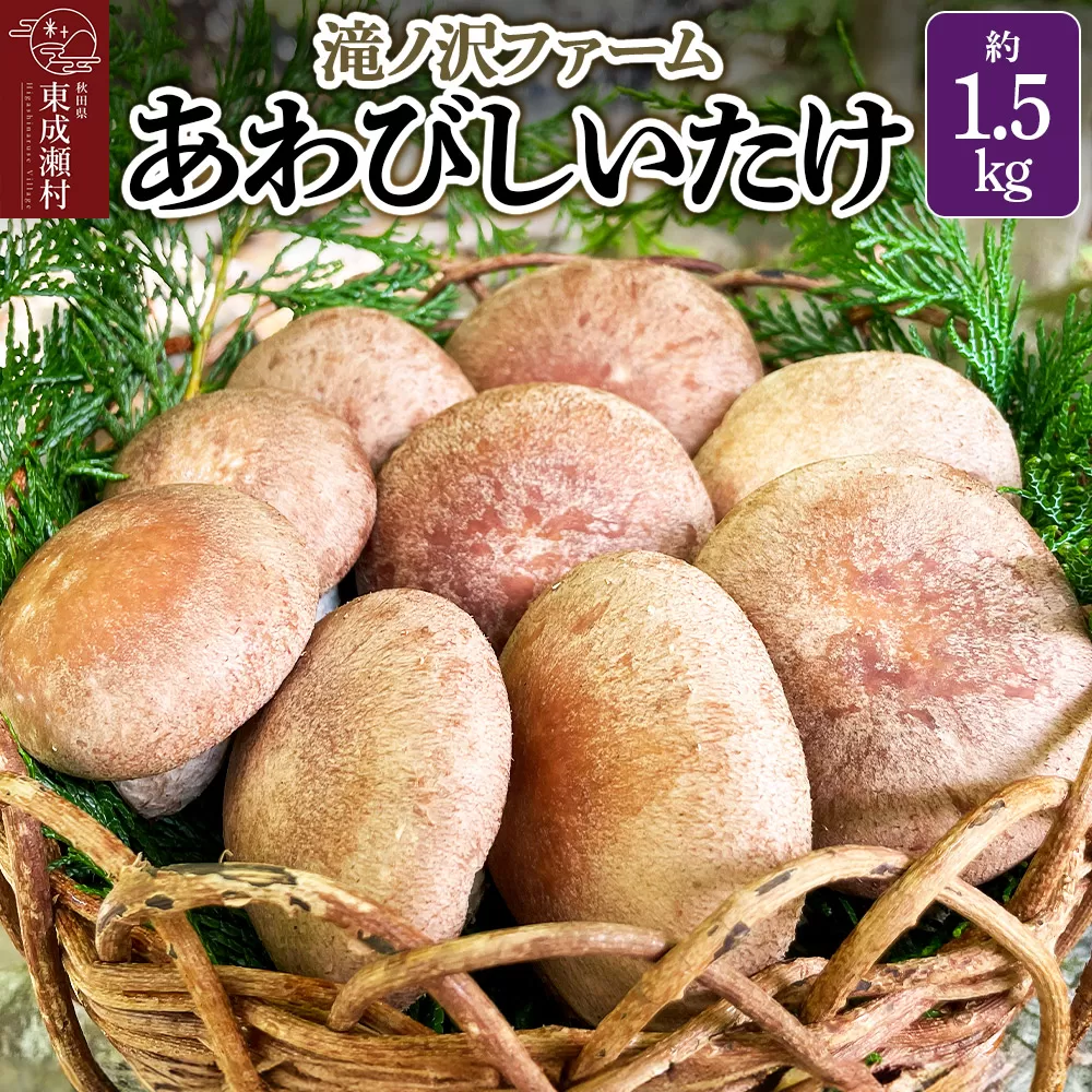 椎茸 あわびしいたけ 約1.5kg 滝ノ沢ファーム 菌床 シイタケ きのこ 食べ応え 肉厚 茸 秋田県 国産 大ぶり 高品質 秋田県東成瀬村
