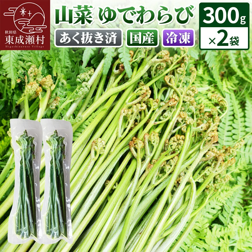 山菜 ゆでわらび 300g×2 【冷凍】 秋田県 東成瀬村産 TAKAYA [山菜 国産 ワラビ わらび 冷凍 アク抜き あく抜き] 秋田県東成瀬村