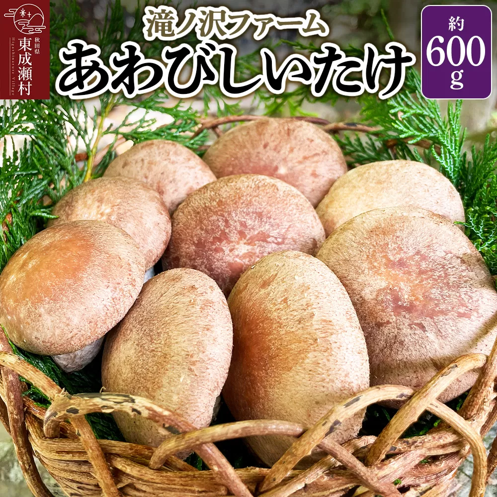 椎茸 あわびしいたけ 約600g 滝ノ沢ファーム 菌床 シイタケ きのこ 食べ応え 肉厚 茸 秋田県 国産 大ぶり 高品質 秋田県東成瀬村